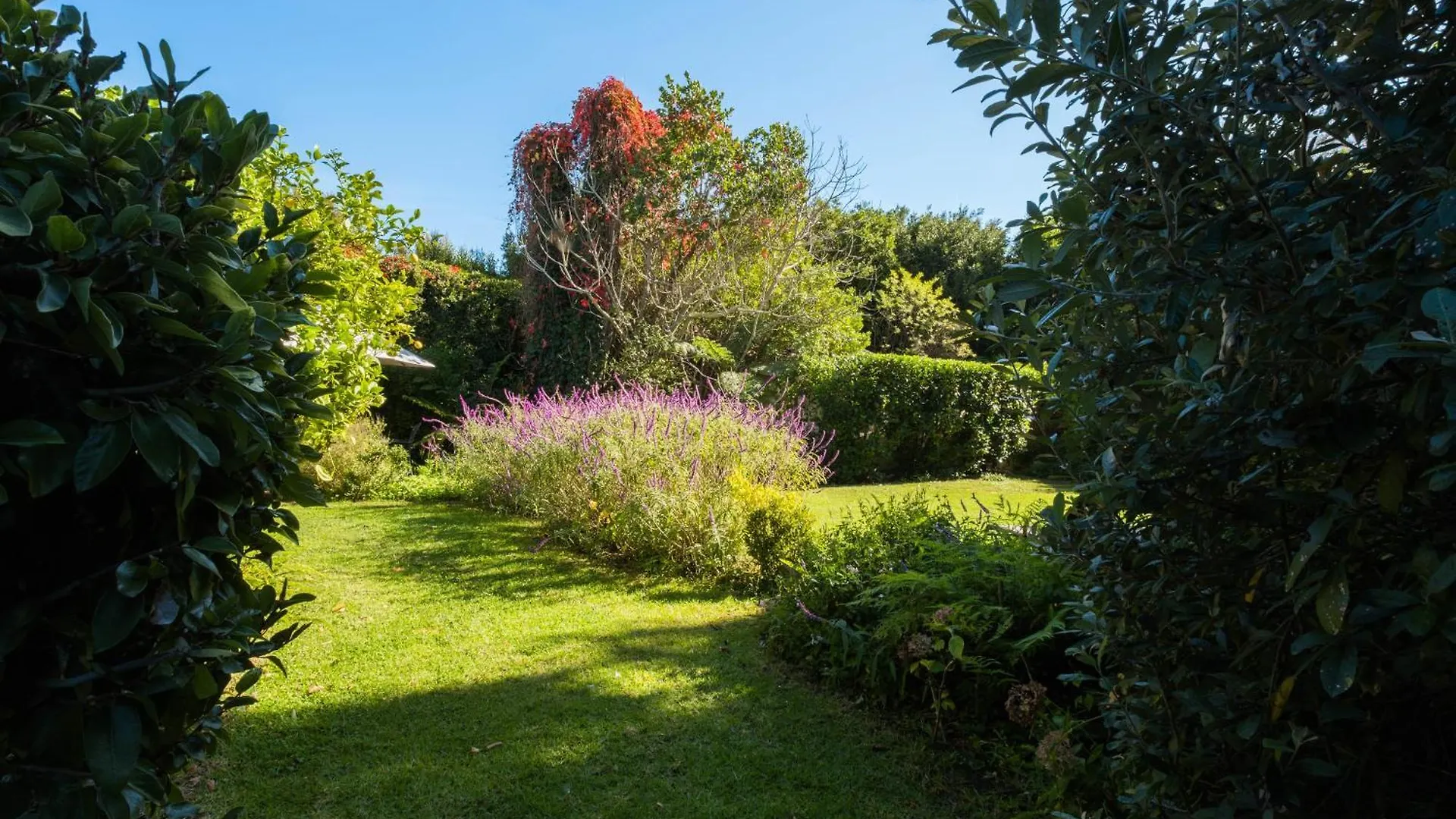 Honey Bird Lodge Cape Town Holiday home
