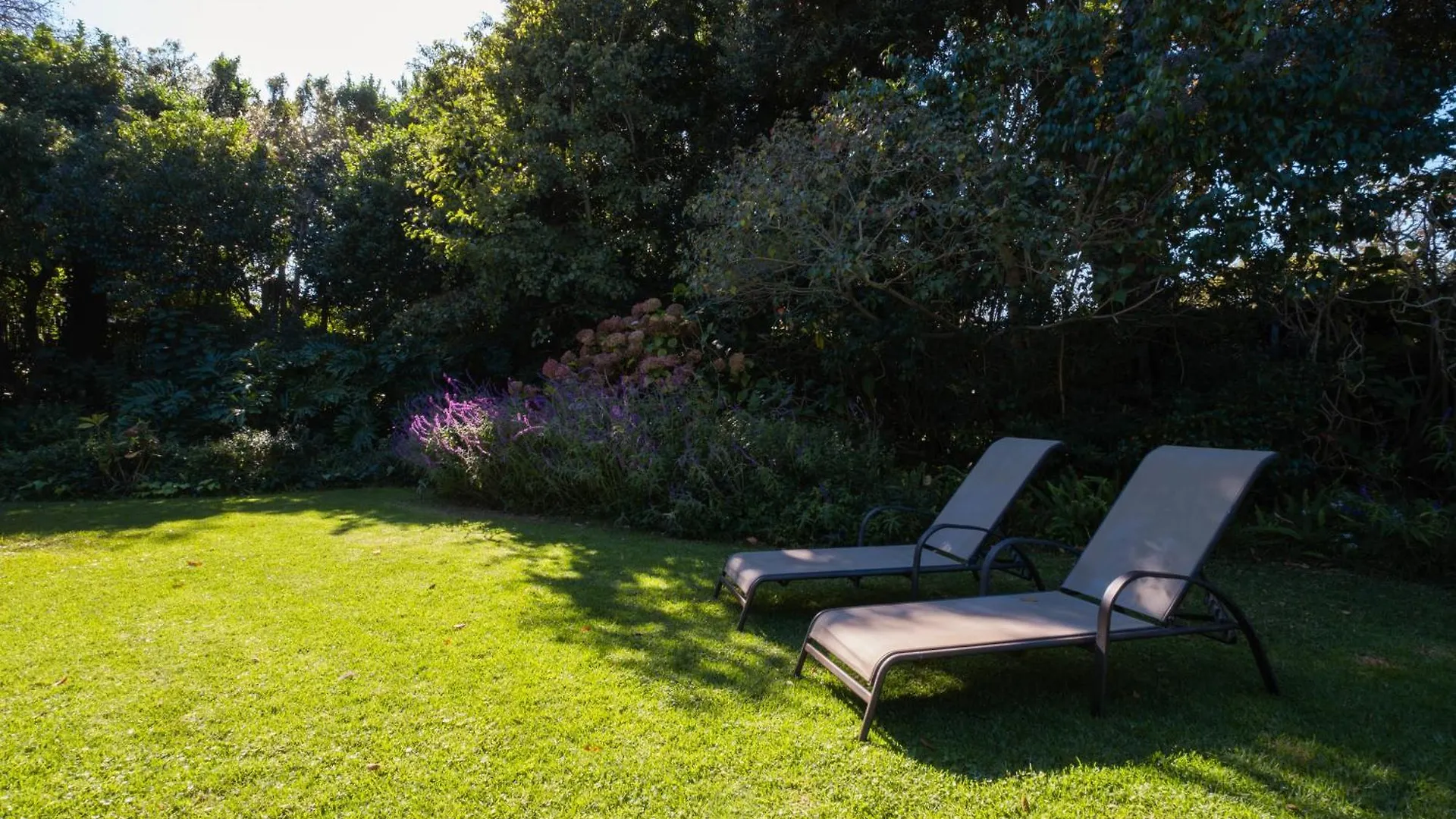 Honey Bird Lodge Cape Town