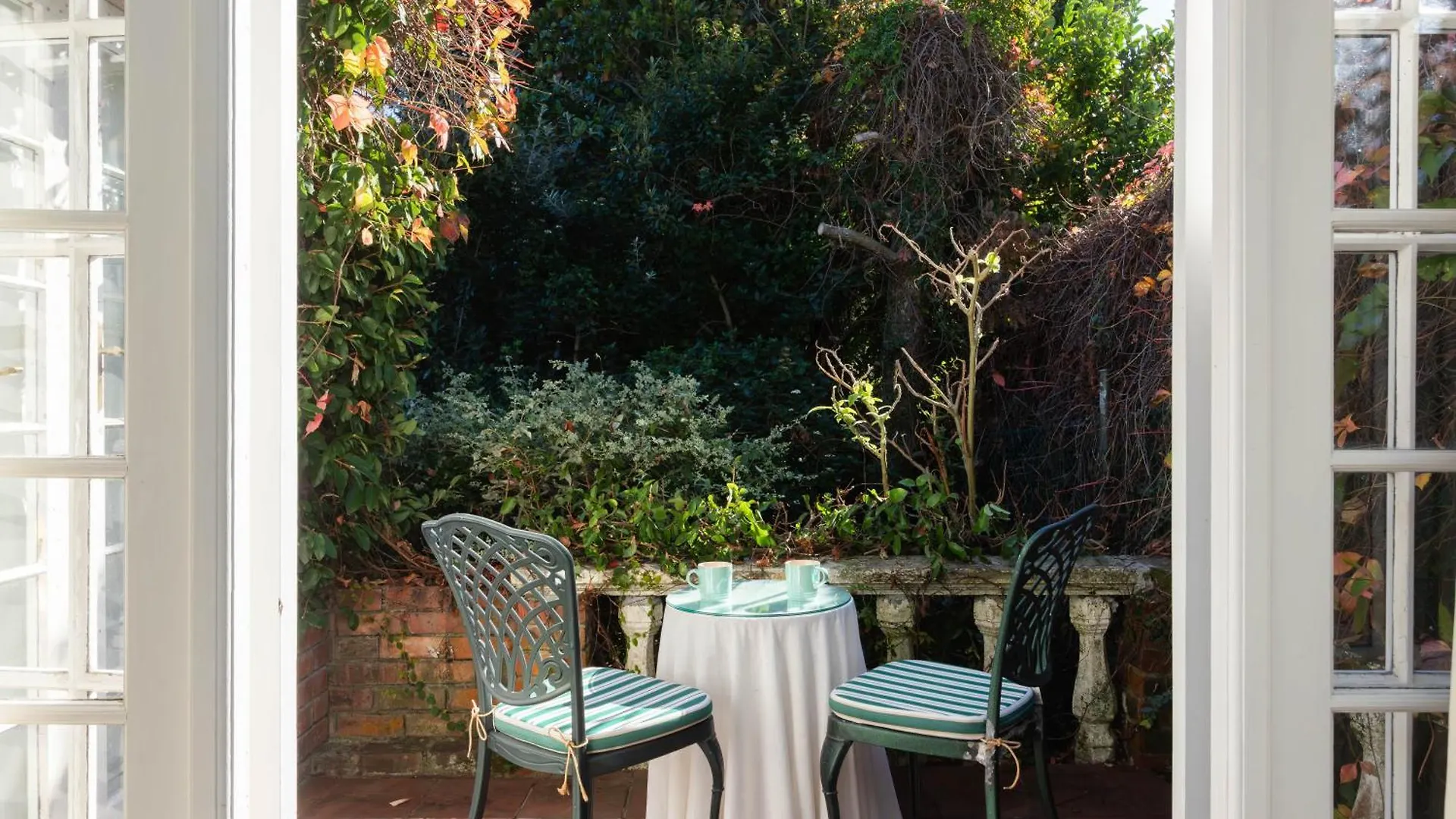 Honey Bird Lodge Cape Town South Africa