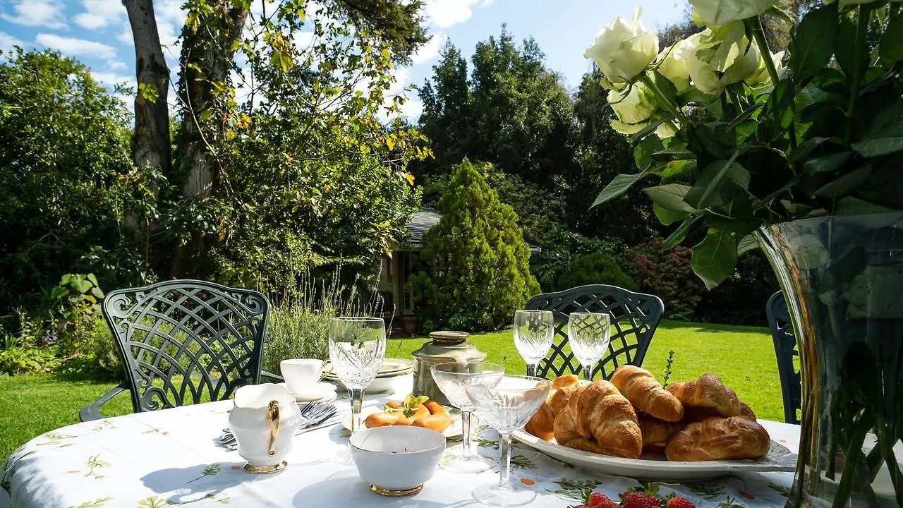 Honey Bird Lodge Cape Town Holiday home